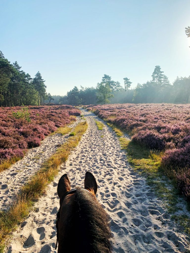 Onze B&B Natuurlijk - B&B Natuurlijk